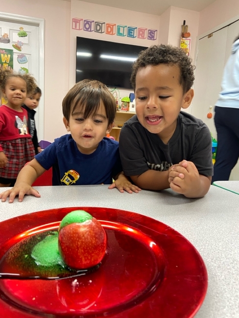 Pee Wee Folks Toddlers - media images images 941 221 458 thumb 02243006064f8fae787e2635dae611b5